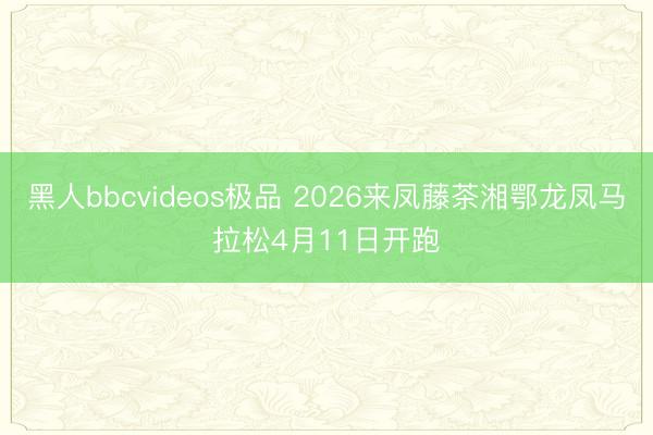 黑人bbcvideos极品 2026来凤藤茶湘鄂龙凤马拉松4月11日开跑