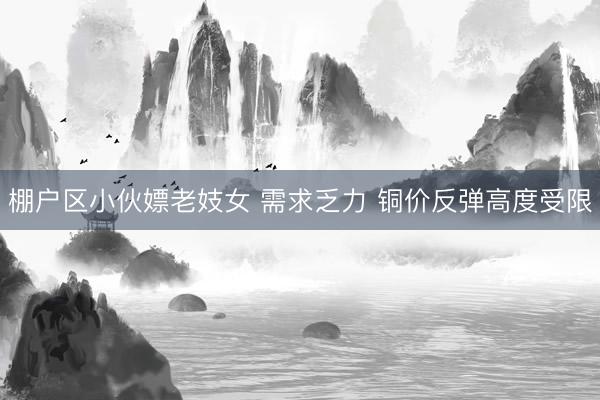 棚户区小伙嫖老妓女 需求乏力 铜价反弹高度受限
