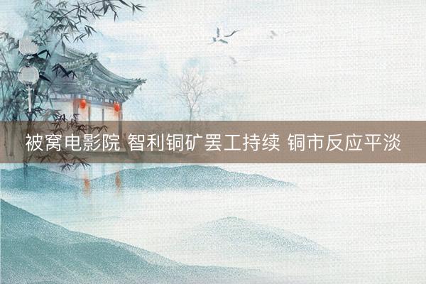 被窝电影院 智利铜矿罢工持续 铜市反应平淡
