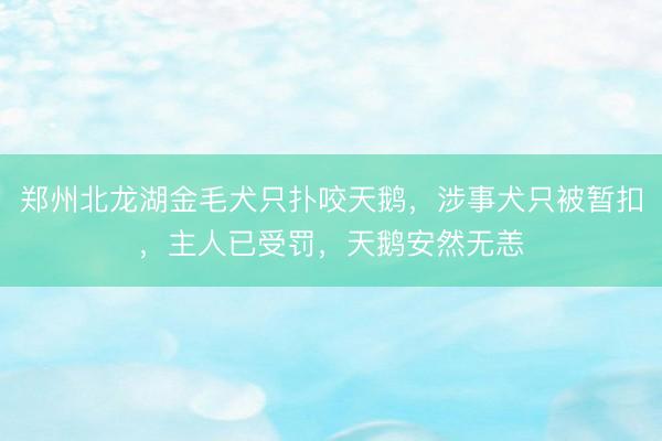郑州北龙湖金毛犬只扑咬天鹅，涉事犬只被暂扣，主人已受罚，天鹅安然无恙