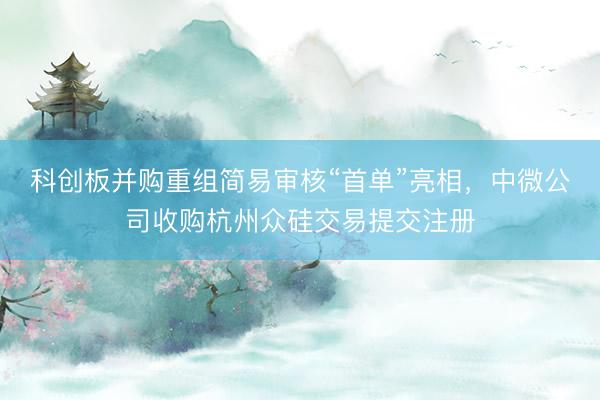 科创板并购重组简易审核“首单”亮相，中微公司收购杭州众硅交易提交注册
