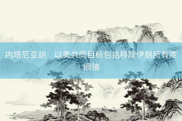 内塔尼亚胡：以美共同目标包括移除伊朗所有浓缩铀