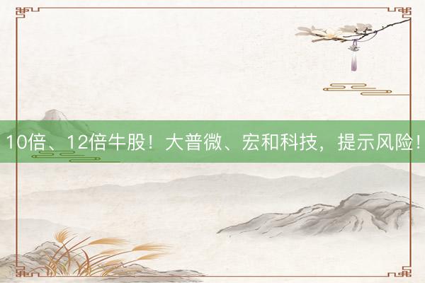 10倍、12倍牛股！大普微、宏和科技，提示风险！