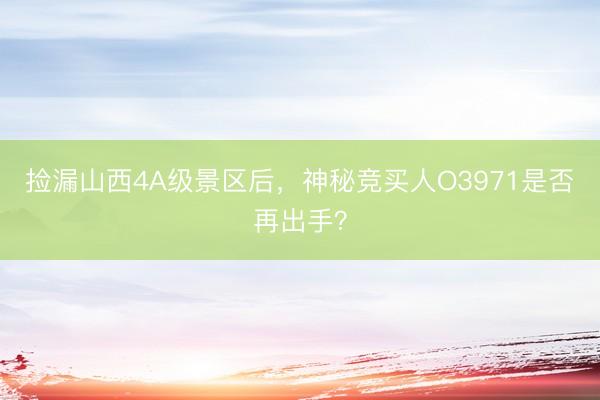 捡漏山西4A级景区后，神秘竞买人O3971是否再出手？