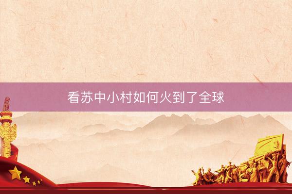 看苏中小村如何火到了全球