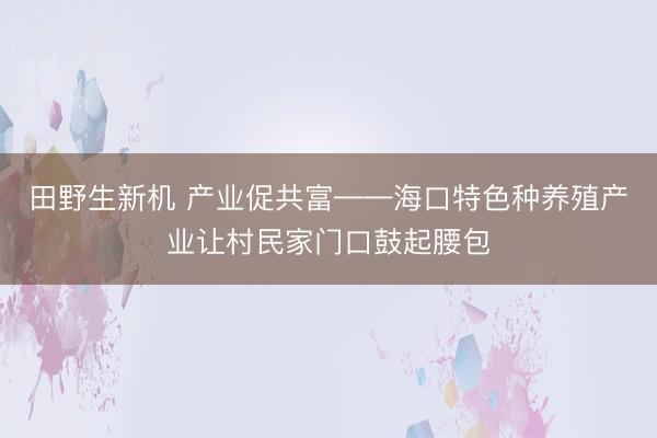 田野生新机 产业促共富——海口特色种养殖产业让村民家门口鼓起腰包