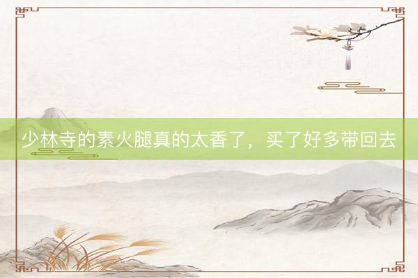 少林寺的素火腿真的太香了，买了好多带回去