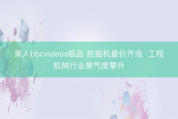 黑人bbcvideos极品 挖掘机量价齐涨  工程机械行业景气度攀升