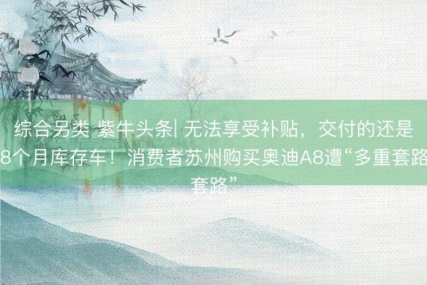 综合另类 紫牛头条| 无法享受补贴，交付的还是18个月库存车！消费者苏州购买奥迪A8遭“多重套路”
