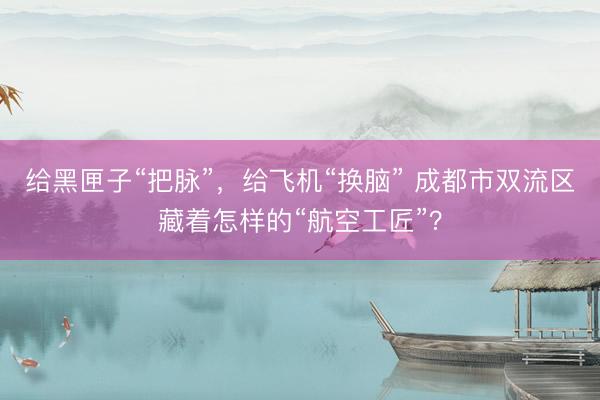 给黑匣子“把脉”，给飞机“换脑” 成都市双流区藏着怎样的“航空工匠”？