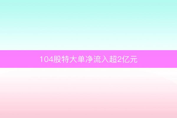 104股特大单净流入超2亿元