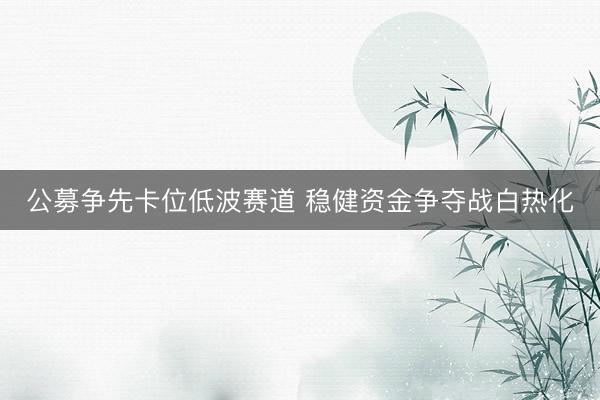 公募争先卡位低波赛道 稳健资金争夺战白热化