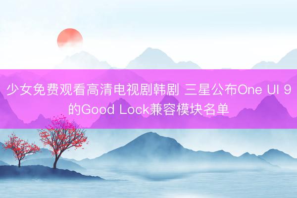 少女免费观看高清电视剧韩剧 三星公布One UI 9的Good Lock兼容模块名单