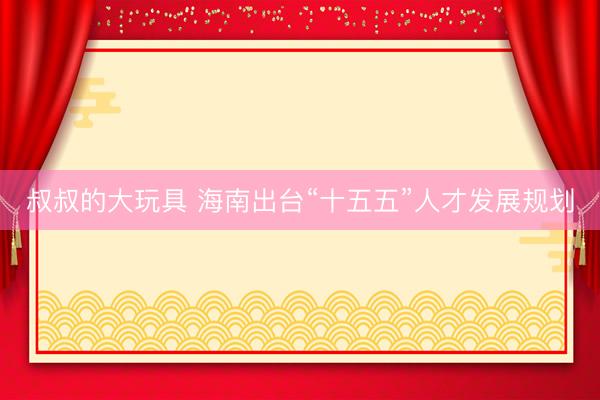 叔叔的大玩具 海南出台“十五五”人才发展规划