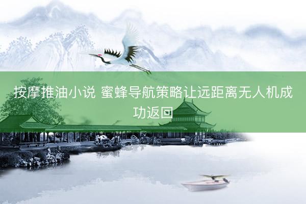 按摩推油小说 蜜蜂导航策略让远距离无人机成功返回