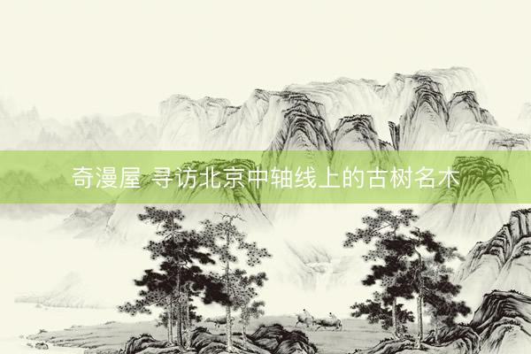 奇漫屋 寻访北京中轴线上的古树名木