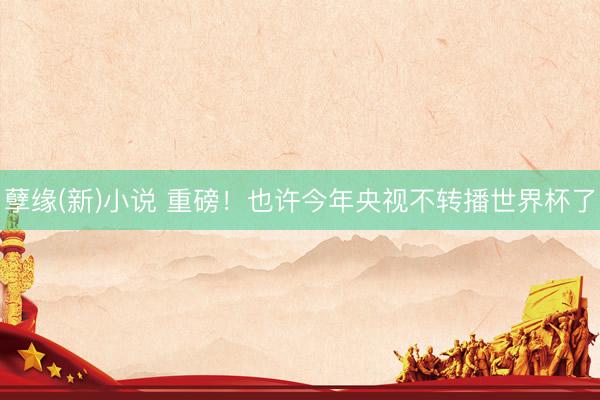 孽缘(新)小说 重磅！也许今年央视不转播世界杯了