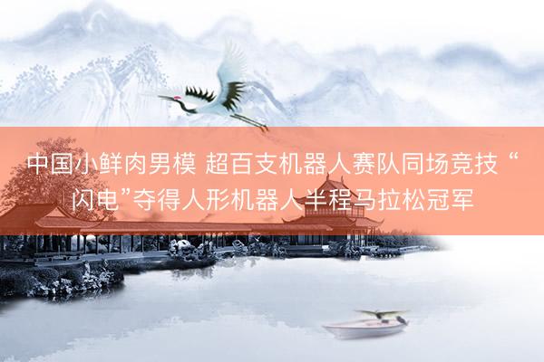 中国小鲜肉男模 超百支机器人赛队同场竞技 “闪电”夺得人形机器人半程马拉松冠军