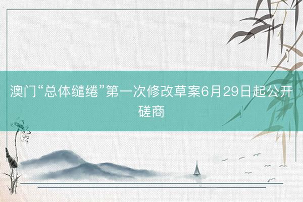澳门“总体缱绻”第一次修改草案6月29日起公开磋商