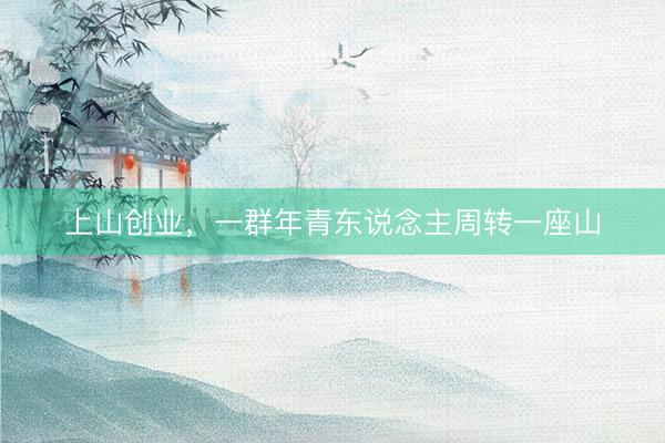 上山创业，一群年青东说念主周转一座山