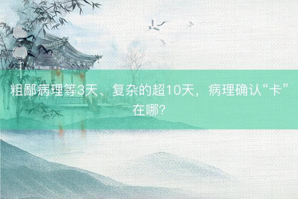 粗鄙病理等3天、复杂的超10天，病理确认“卡”在哪？