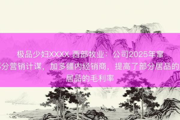 极品少妇XXXX 西部牧业：公司2025年窜改了部分营销计谋，加多疆内经销商，提高了部分居品的毛利率