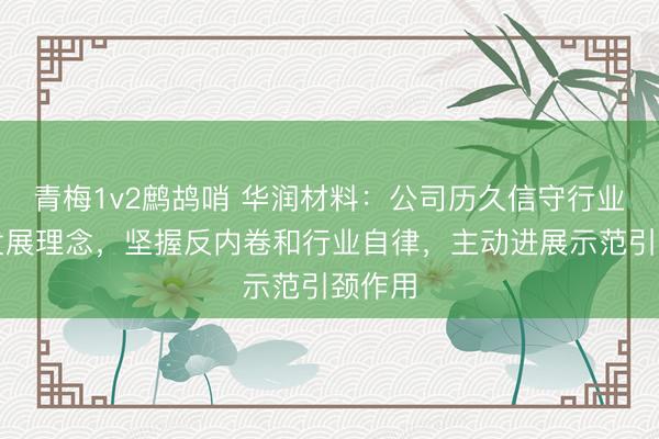 青梅1v2鹧鸪哨 华润材料：公司历久信守行业良性发展理念，坚握反内卷和行业自律，主动进展示范引颈作用