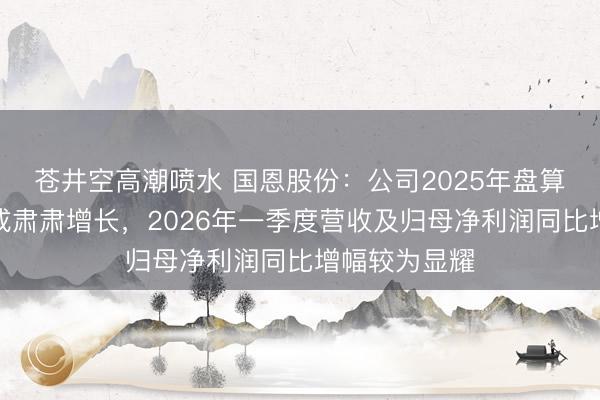 苍井空高潮喷水 国恩股份：公司2025年盘算推算功绩达成肃肃增长，2026年一季度营收及归母净利润同比增幅较为显耀
