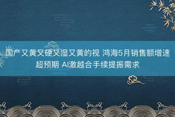 国产又黄又硬又湿又黄的视 鸿海5月销售额增速超预期 AI激越合手续提振需求