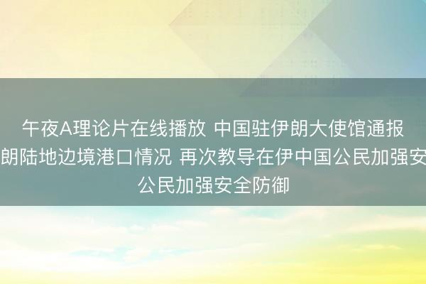 午夜A理论片在线播放 中国驻伊朗大使馆通报部分伊朗陆地边境港口情况 再次教导在伊中国公民加强安全防御