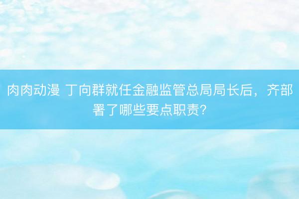 肉肉动漫 丁向群就任金融监管总局局长后,齐部署了哪些要点职责?