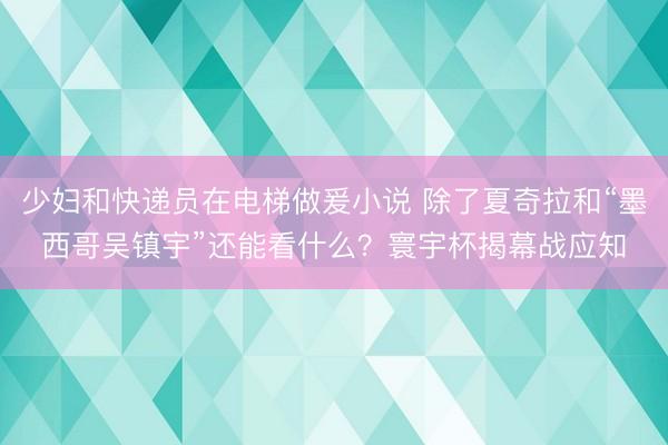 少妇和快递员在电梯做爰小说 除了夏奇拉和“墨西哥吴镇宇”还能看什么？寰宇杯揭幕战应知