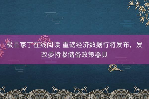 极品家丁在线阅读 重磅经济数据行将发布，发改委持紧储备政策器具