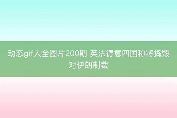 动态gif大全图片200期 英法德意四国称将捣毁对伊朗制裁
