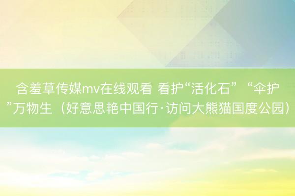 含羞草传媒mv在线观看 看护“活化石”  “伞护”万物生（好意思艳中国行·访问大熊猫国度公园）