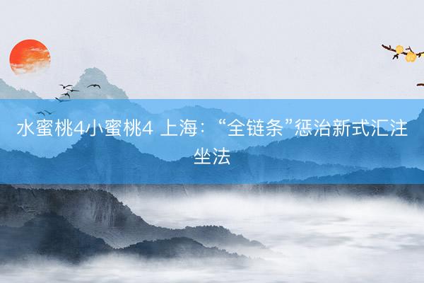 水蜜桃4小蜜桃4 上海：“全链条”惩治新式汇注坐法