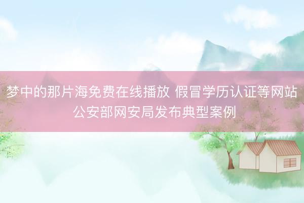 梦中的那片海免费在线播放 假冒学历认证等网站 公安部网安局发布典型案例