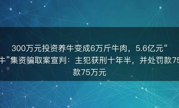 300万元投资养牛变成6万斤牛肉，5.6亿元“云养牛”集资骗取案宣判：主犯获刑十年半，并处罚款75万元