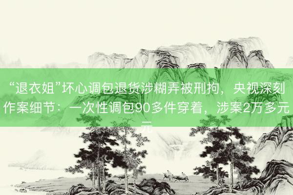 “退衣姐”坏心调包退货涉糊弄被刑拘，央视深刻作案细节：一次性调包90多件穿着，涉案2万多元