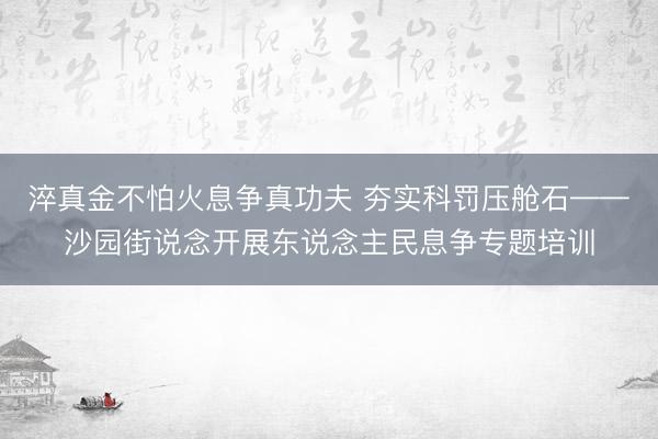 淬真金不怕火息争真功夫 夯实科罚压舱石——沙园街说念开展东说念主民息争专题培训